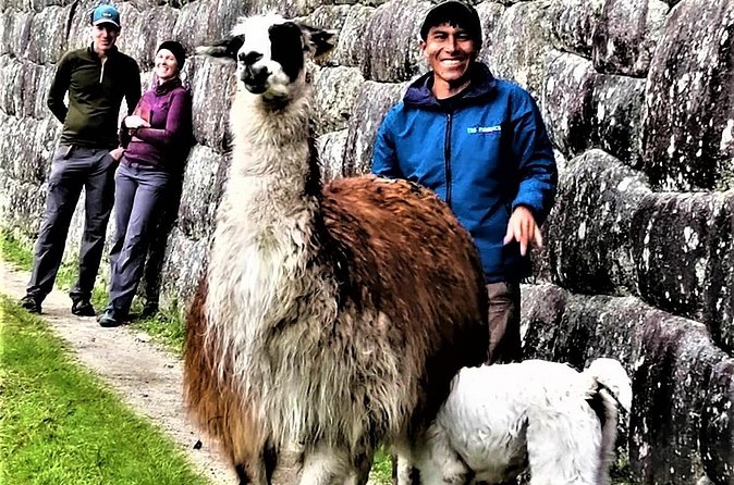 Machu Picchu: Private Tour Guide Service (2–3 Hours) - Price, group size, and real value