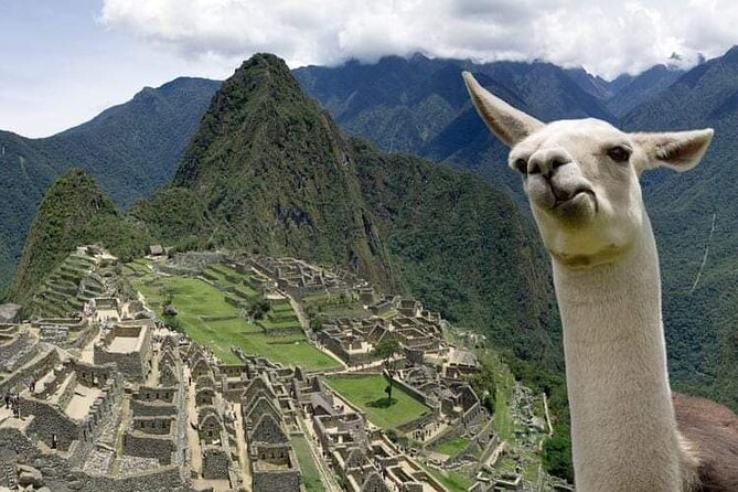 Machu Picchu Small Group Day Tour from Cusco - Is $335 a fair price?