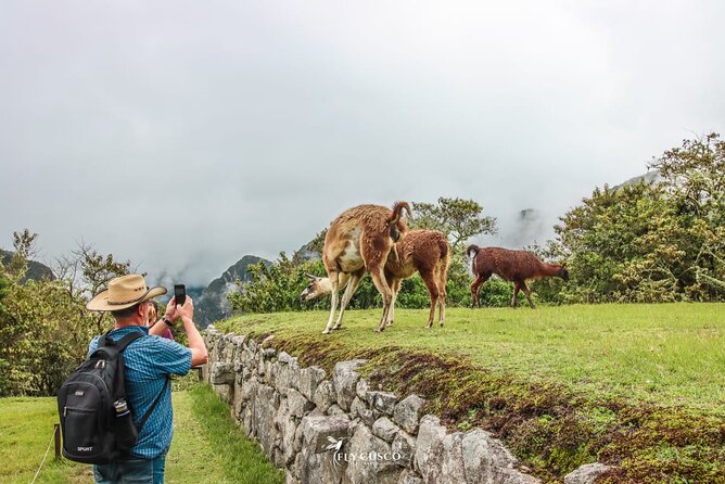 Machu Picchu Ticket, Bus & Private Guide - Language Options - The bus up to Machu Picchu