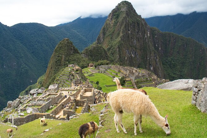 Machu Picchu Tour 01 Day, Departure at 08:00 AM from Cusco - Lunch and free time in Aguas Calientes