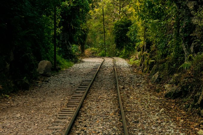 Machu Picchu Trips One Day Tour with Inca Rail Train from Cusco - Riding Inca Rail to Aguas Calientes