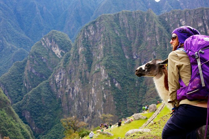 Machupicchu by train - 2 days- 1 night - Day 2: Early bus and the Machu Picchu guided visit