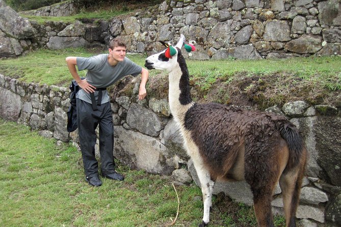 Machupicchu by train - 2 days- 1 night - Aguas Calientes: useful base, not the main attraction