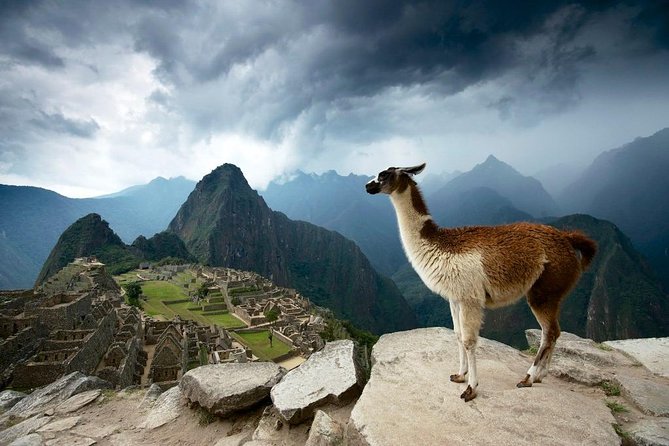 MachuPicchu Private Full Day Tour by Vistadome train from Cusco - Ollantaytambo and the Vistadome train