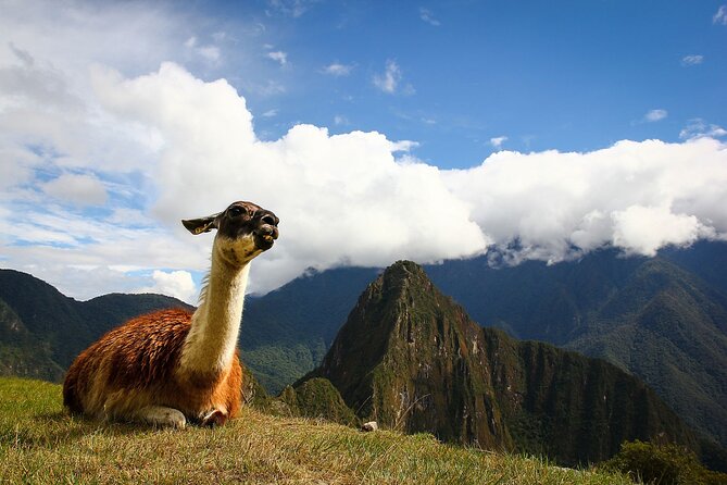 Machupicchu - Private Guide - A 3:00 am start from Cusco