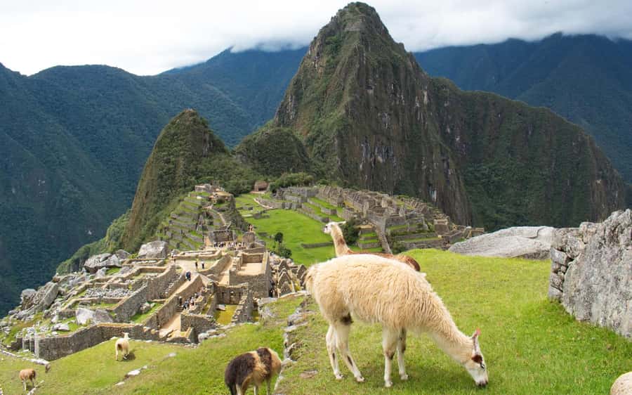 Machupicchu tour by tourist train in 2 days - What to pack for this two-day route