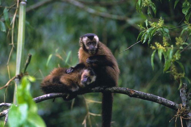 Manu Jungle Exploring: 5 Day Amazon & Cloud Forest Adventure - Day 4: Machu Huasi Lake, balsa rafts, and a riverside night