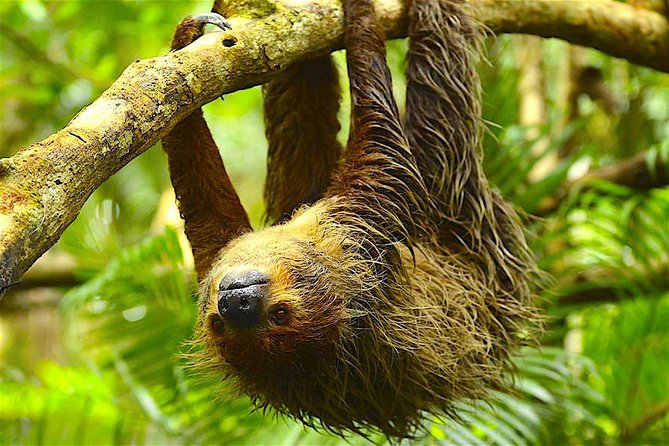 Manu Jungle Exploring: 5 Day Amazon & Cloud Forest Adventure - What the $963 price really covers