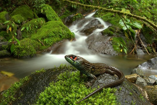 Manu Jungle Tour (4 Days) - Day 2: trading the minivan for the Madre de Dios River