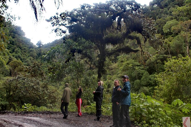 Manu jungle tours from Cusco (2 days). - Amazon Pona Lodge and the first night