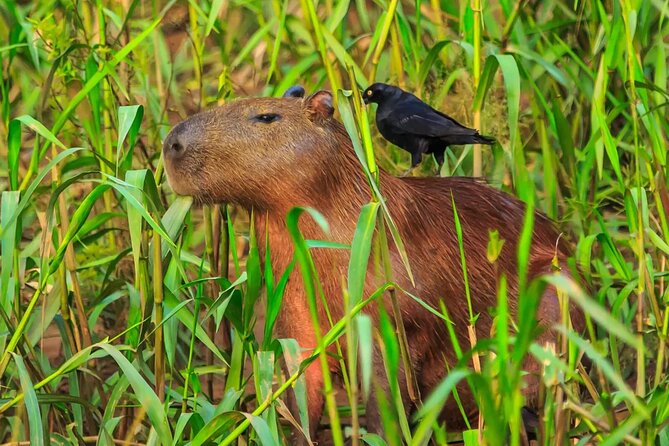 Manu National Park 2 Days Tour Peruvian Amazon - Lake Machuwasi by small raft