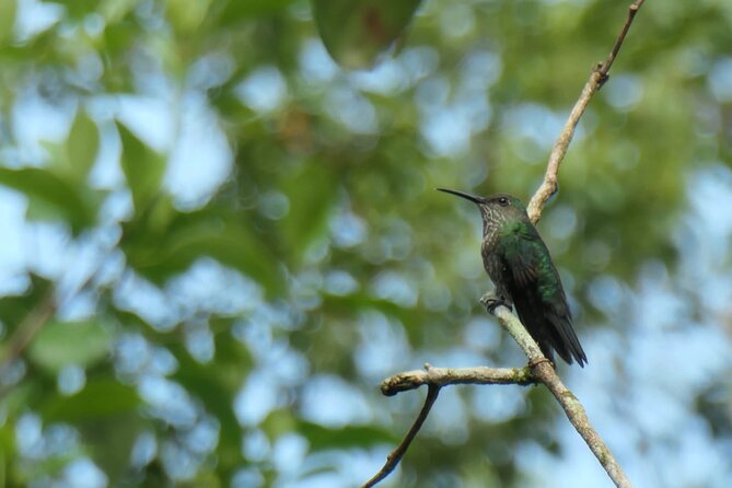 Manu National Park 2 Days Tour Peruvian Amazon - Food, equipment, and what $501 covers
