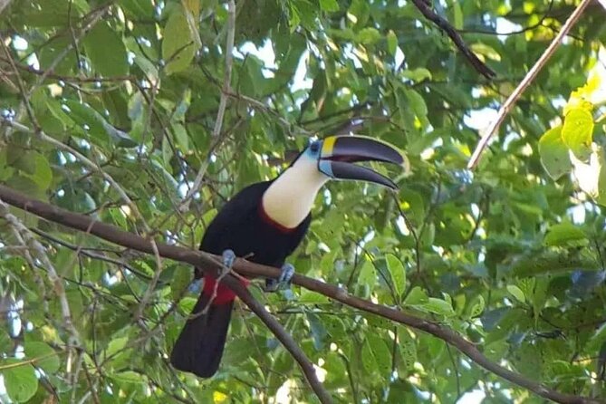 Manu National Park Tour 4 Days/3 Nights - Wooden Rafts on Machuhuasi Lagoon
