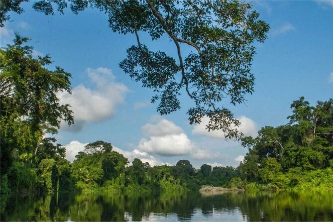 Manu National Park Tour 4 Days/3 Nights - Giant Trees and a Possible Second Night Walk