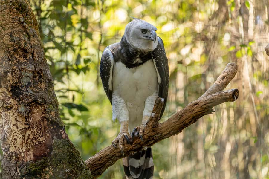 Manu National Park Tours from Cusco 5 Days - Five details that shape the experience