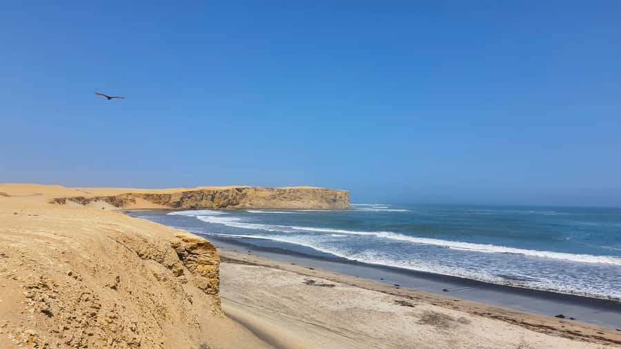 Mini Buggy GO KART in Paracas National Reserve - Yumaque Beach: a calm first stop