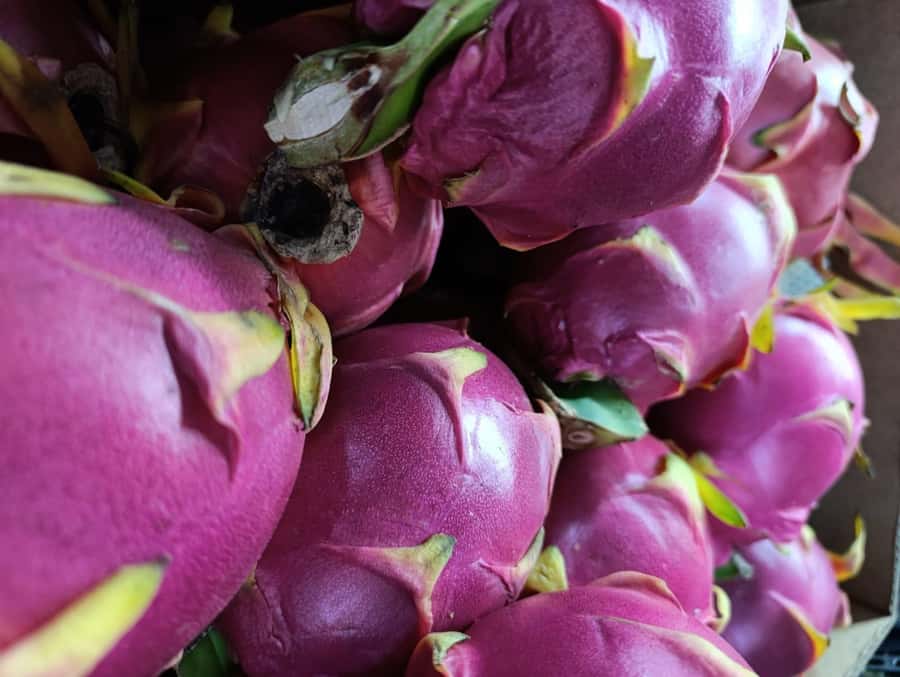 Miraflores: Amazing Peruvian Cooking Class Ceviche Seafood and Pisco Sour - Making your own Pisco Sour