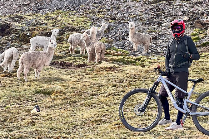 Mountain Biking Enduro - MTB Sacred Valley Lares - Key points before you book