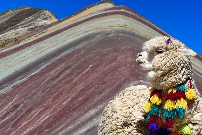 Mountain Hike Colors full day - with guide - Why this $42 tour can be good value