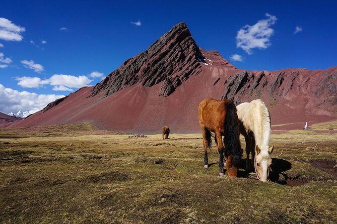 Mountain Hike Colors full day - with guide - The Red Valley adds more than another photo stop
