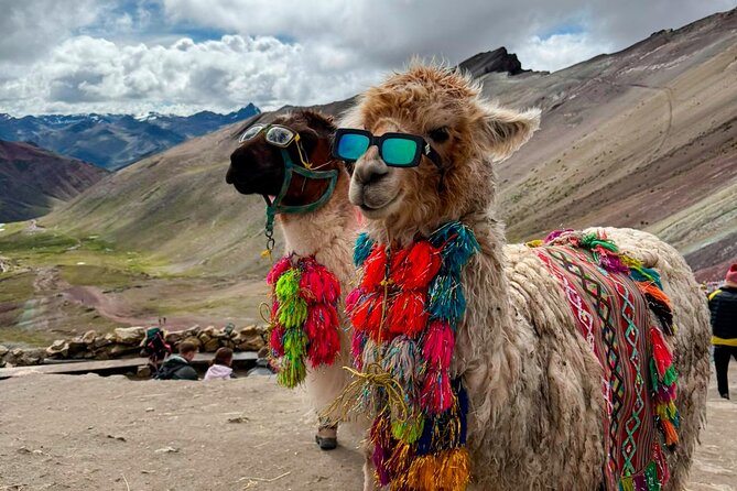 Mountain of Colors Easy and Fast – Quads + Short Route - The return to Cusco and the real value of $83