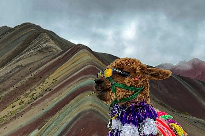 Mountain of Colors in a Day From Cusco - The midnight departure from Cusco