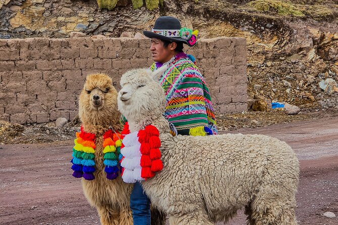 Mountain of Colors Vinincnever Full Day Tour from Cusco - Why the $45 price can be good value