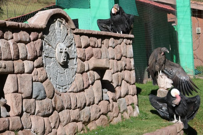 Mystic experience at Cochahuasi ( blessings of the Andean condor) - Alberto’s personal connection to the sanctuary