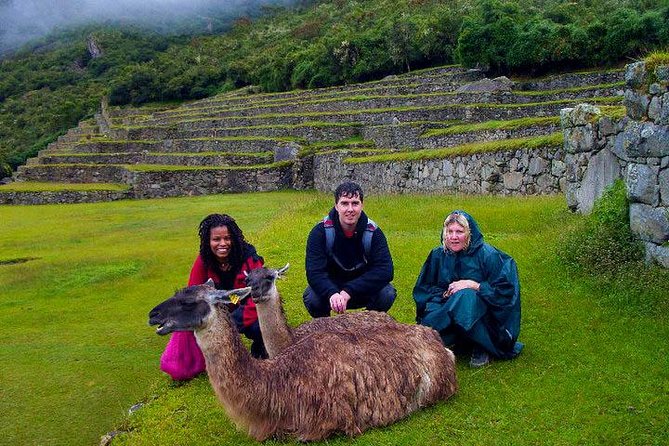 Mystical Journey: 2-Day Private Adventure to Machu Picchu - Day two: the early bus to Machu Picchu