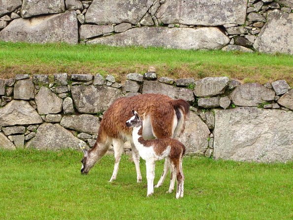 Mystical Journey: 2-Day Private Adventure to Machu Picchu - Aguas Calientes: hot springs, museums, and a useful pause