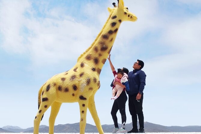 National Reserve of Salinas and Aguada Blanca - Vicuñas, llamas, alpacas, and flamingos