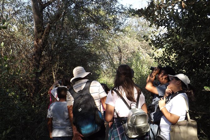 Nature tour, Pómac Forest with picnic breakfast included. - What makes this Pómac Forest tour worth considering