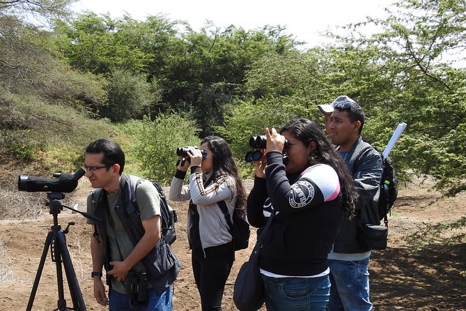 Nature tour, Pómac Forest with picnic breakfast included. - Why Pómac Forest is more than a birding stop