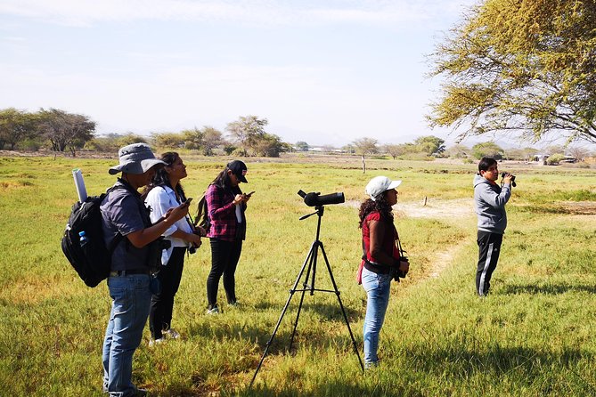 Nature tour, Pómac Forest with picnic breakfast included. - What the guides add to the day