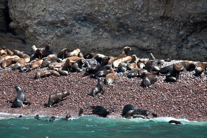 Nazca Lines & Ballestas Islands Private Tour Bus&Flight from Lima - Waiting in Paracas before the Nazca flight