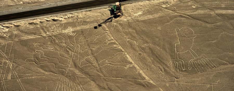 Nazca: Maria Reiche Museum and Nazca Lines Viewpoint Tour - Key points at a glance