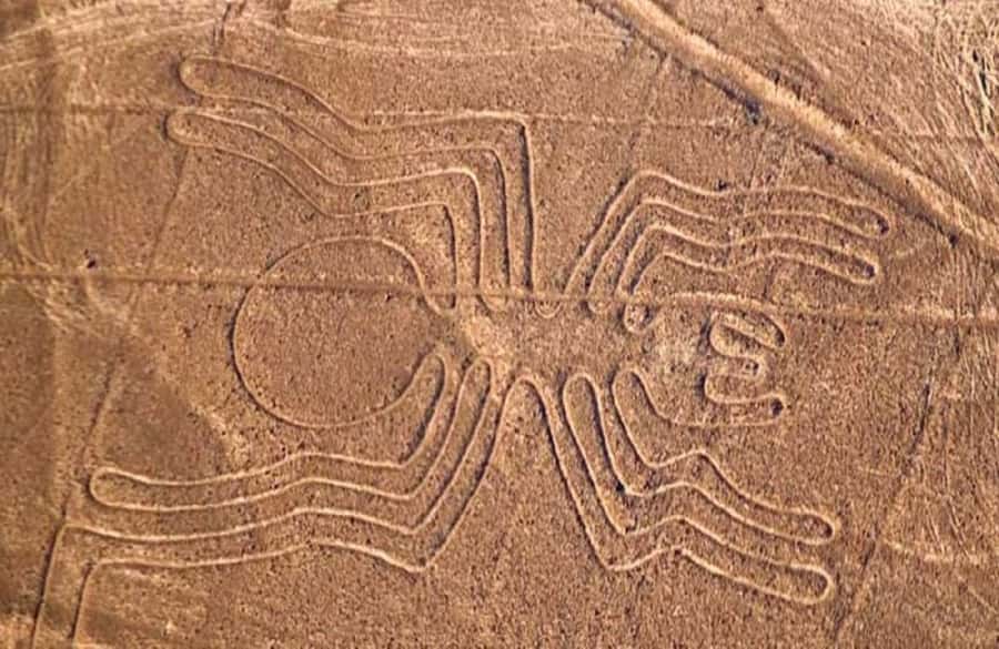 Nazca: Overflight of the Nazca Lines - The 40-minute airport process