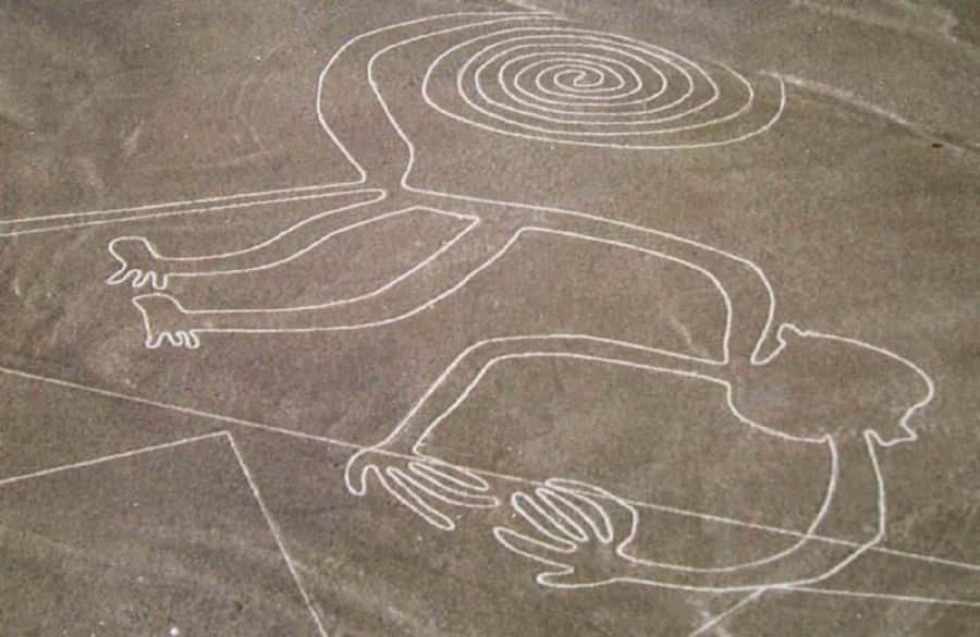 Nazca: Overflight of the Nazca Lines - What the 35-minute flight actually shows you