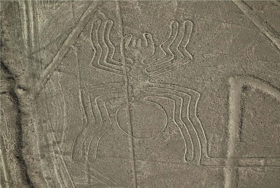Nazca: Overflight of the Nazca Lines - Who will enjoy this flight most