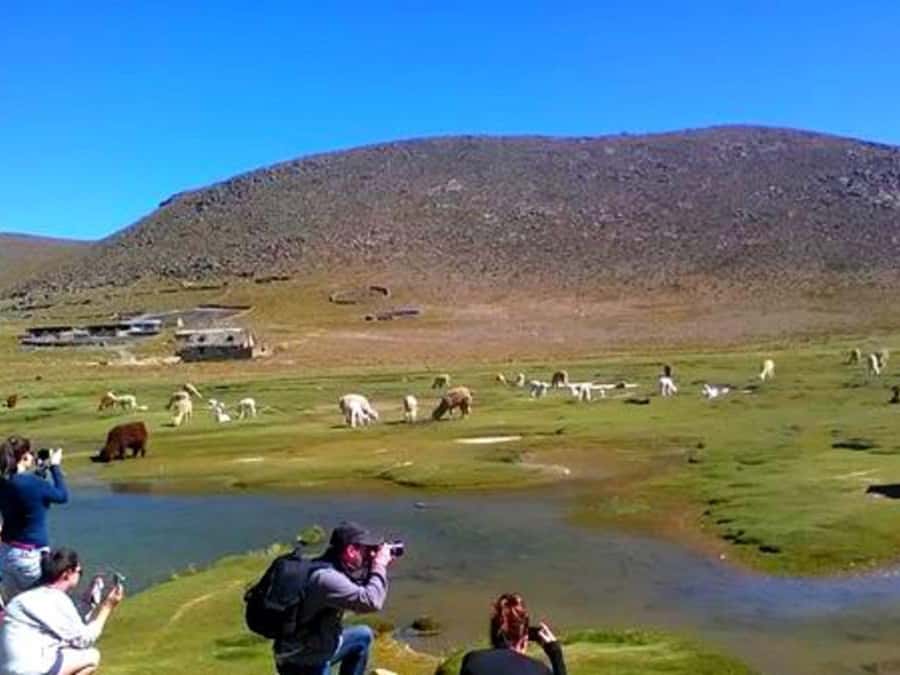 Offer Price: Colca Canyon One Day in Arequipa with Breakfast - Chacapi hot springs, then lunch in Chivay
