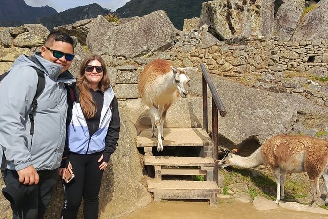 One-day group excursion to Machu Picchu from Cusco - What the guides add to the day