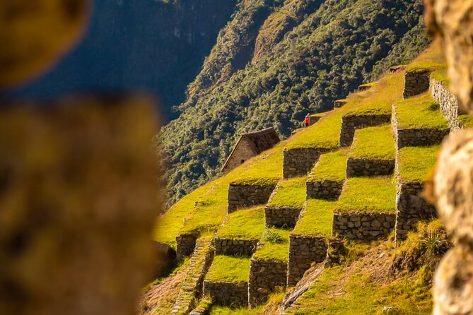 One Day Train Trip to Machu Picchu from Cusco - Budget, Standard, or Premium?