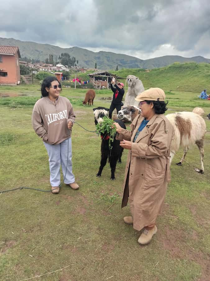 Open-top bus in the city of Cusco, 3-hour tour with panoramic views - The Payment to the Earth at Llaullikasa