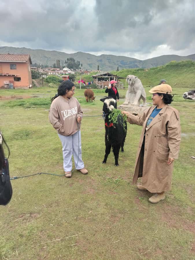 Open-top bus in the city of Cusco, 3-hour tour with panoramic views - Andean snacks and the colonial oven