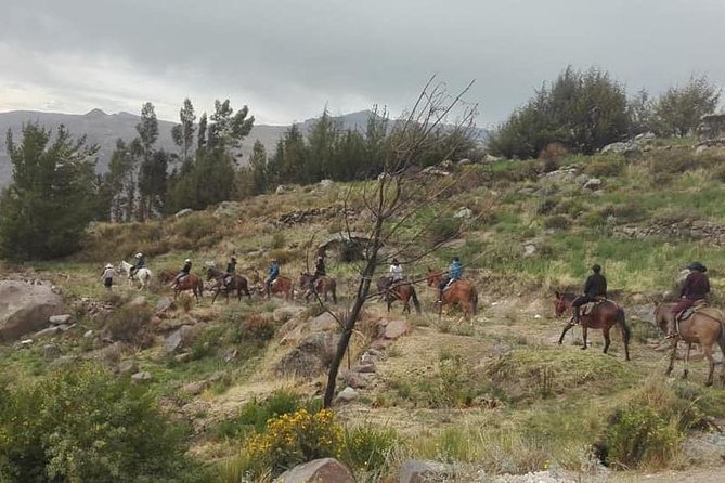 Overnight Tour: Colca Canyon Including Horse Riding from Arequipa - Maca, Chivay, and the long return to Arequipa