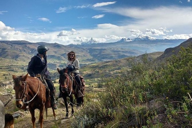 Overnight Tour: Colca Canyon Including Horse Riding from Arequipa - What the guiding is like