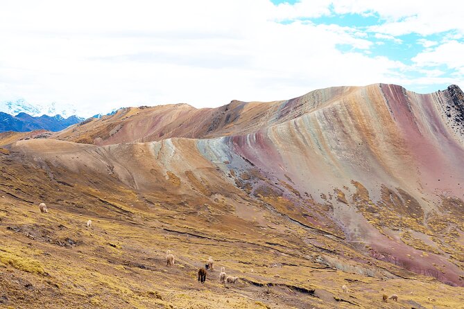 Palccoyo Rainbow Mountain Full Day Tour from Cusco - Three rainbow mountains and the stone forest