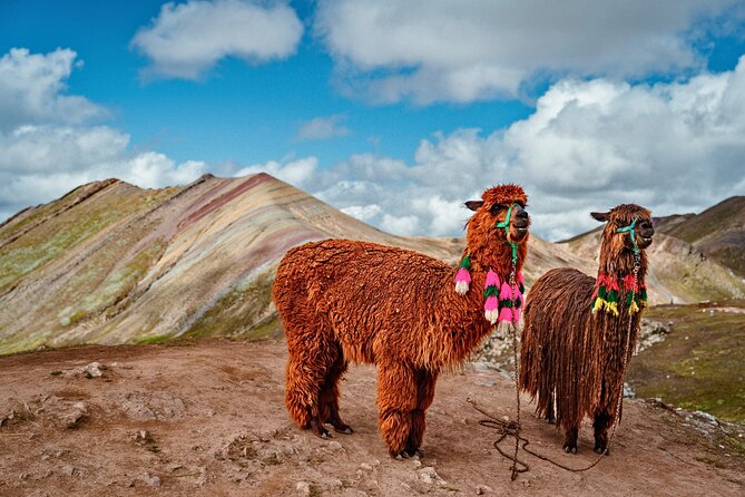 Palccoyo Rainbow Mountain Tour - Scenic Hike & Andean Lunch - What the $45 Price Really Covers