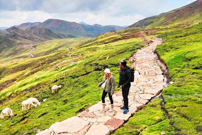 Palcoyo Colored Mountain Tour, Ribbon with Alpacas - Key points to know before booking