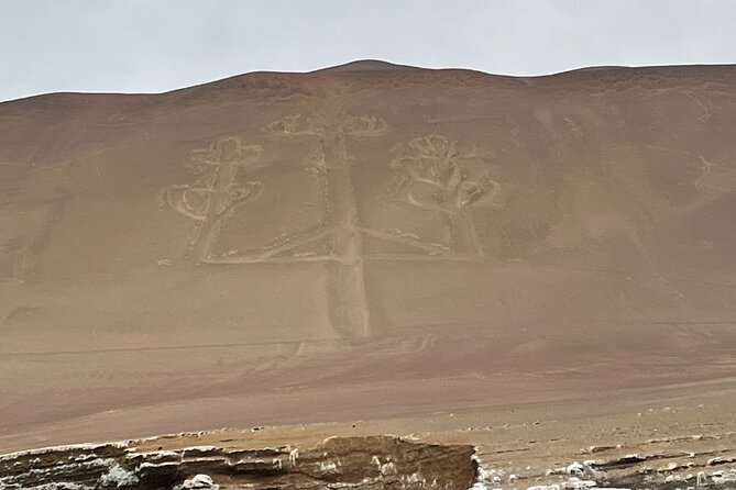Paracas and Huacachina Exclusive Sunset Picnic Tour - From Lima before sunrise to the Pacific coast
